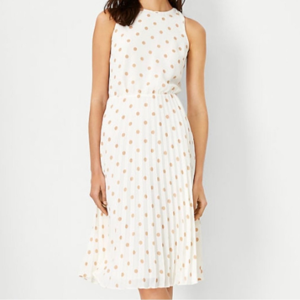 Ann Taylor Polka Dot Pleated Dress